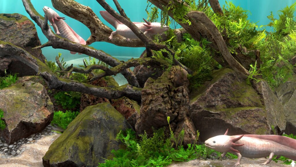 Behind Glass: Aquarium Simulator screenshot